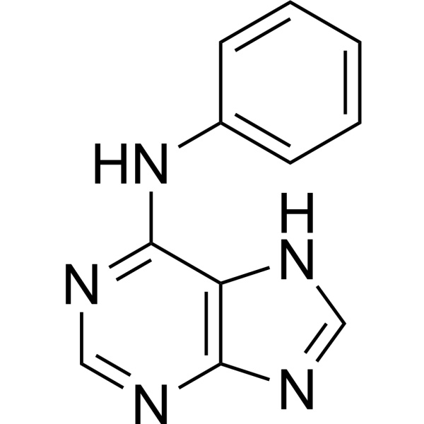 Phenyl(9H-purin-6-yl)amine 1210-66-8